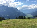 IMG_7501