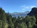 IMG_7523