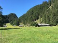IMG_7526