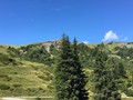 IMG_7527