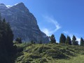 IMG_7528