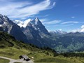 IMG_7529