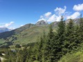 IMG_7530