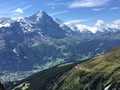 IMG_7532