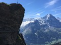 IMG_7534