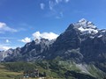 IMG_7536