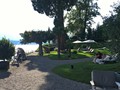 IMG_7541