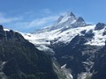 IMG_7537
