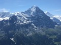 IMG_7539