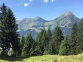 IMG_7588