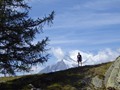 IMG_7724