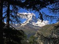 IMG_7749
