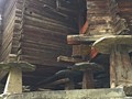 IMG_7786