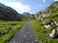DSC05001