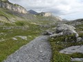 DSC05005