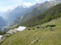 DSC05219