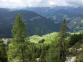 IMG_5911