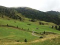 IMG_5931
