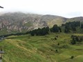 IMG_5935
