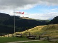 IMG_5936