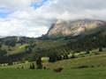 IMG_5937