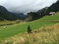 IMG_5950