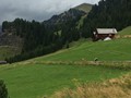 IMG_5951
