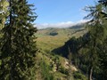 IMG_6011