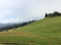 IMG_6017