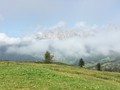 IMG_6042