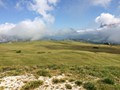 IMG_6047