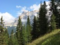 IMG_6049