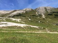 IMG_6101