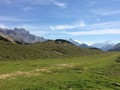 IMG_6116