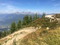 IMG_6161