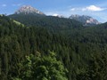 IMG_6166