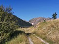 IMG_20190729_084929