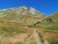 IMG_20190729_100519