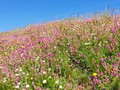 IMG_20190729_112109
