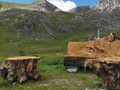 IMG_20190729_130507
