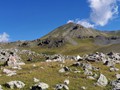 IMG_20190730_101603