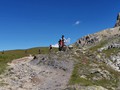 IMG_20190730_110236