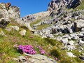 IMG_20190730_110718