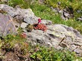 IMG_20190730_110749