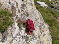 IMG_20190730_111016