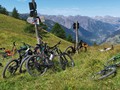 IMG_20190731_120738