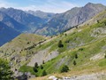 IMG_20190731_135647