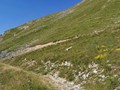 IMG_20190801_103418