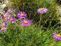 IMG_20190801_111102