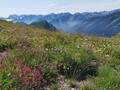 IMG_20190801_111133